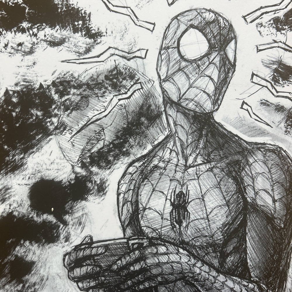 Steve‎ Messenger Art Spider-Man Pencil Sketch Print 11x17 Signed